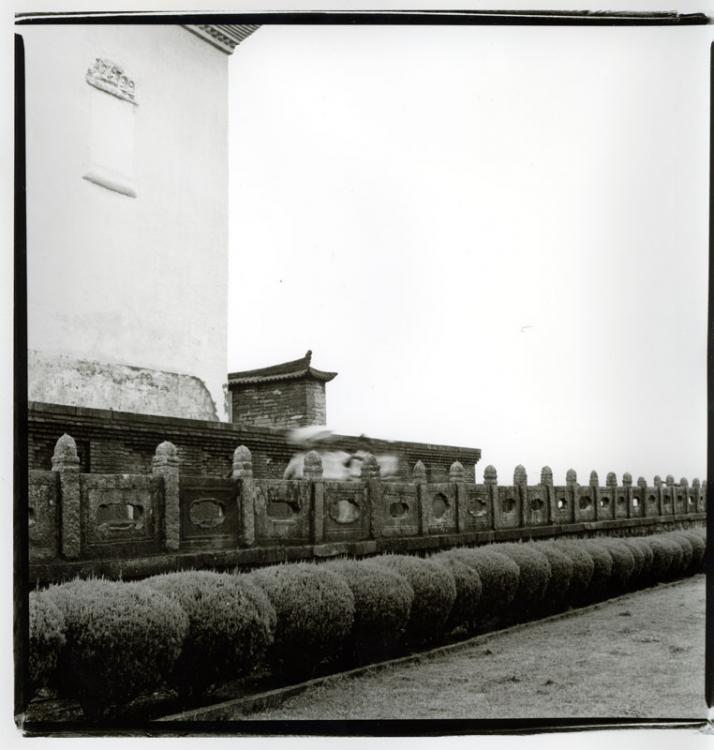 Dali, Three Temples Wall (2009)
