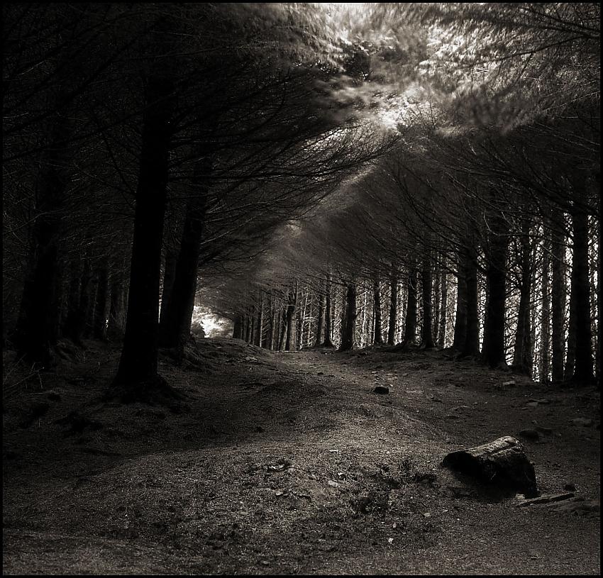 dark passage