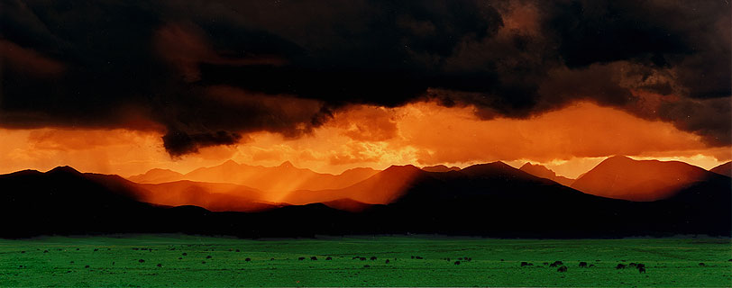 Dark Storm and Wild Buffalo II