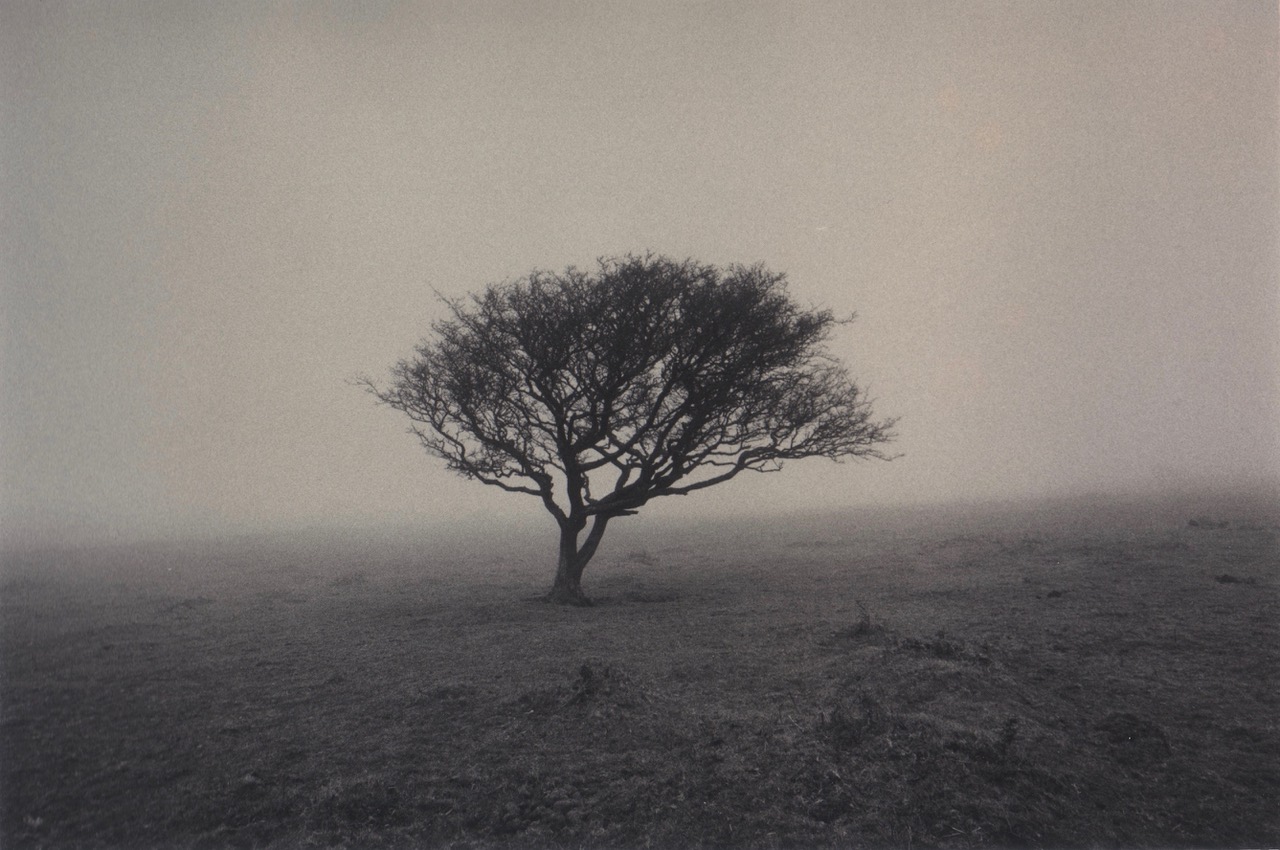 Dartmoor