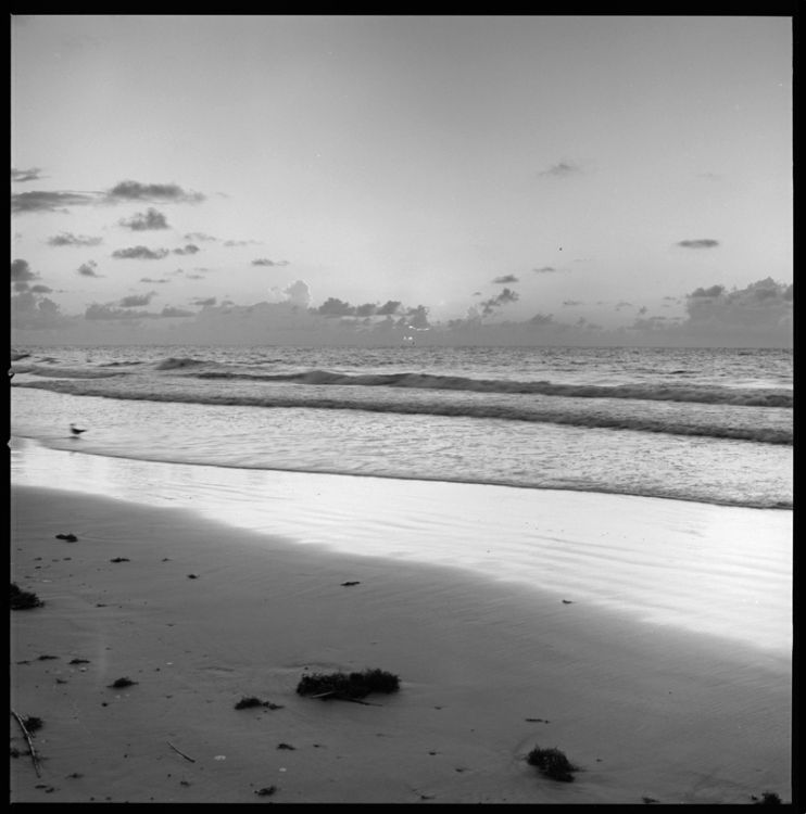 Dawn at Tybee