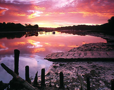 Dawn Bailey's Hard - lighter version