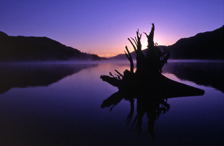 Dawn on Lake Cowichan