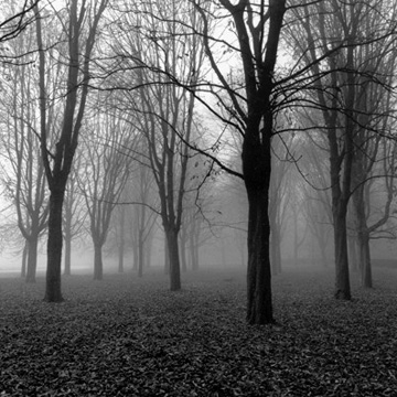 Dawn, Parc de Sceaux, Paris