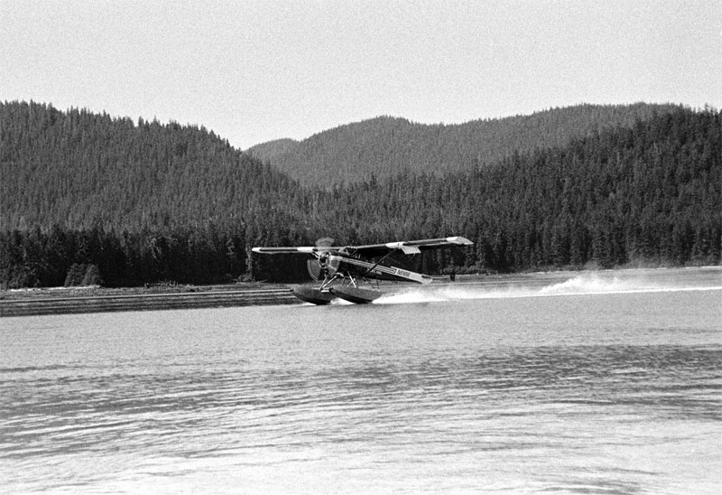De Haviland Beaver at ideal cove