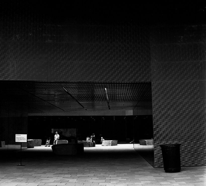 De Young Museum - San Francisco