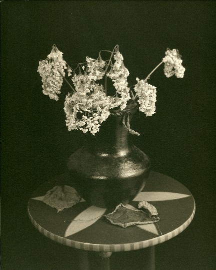 dead flowers in palladium