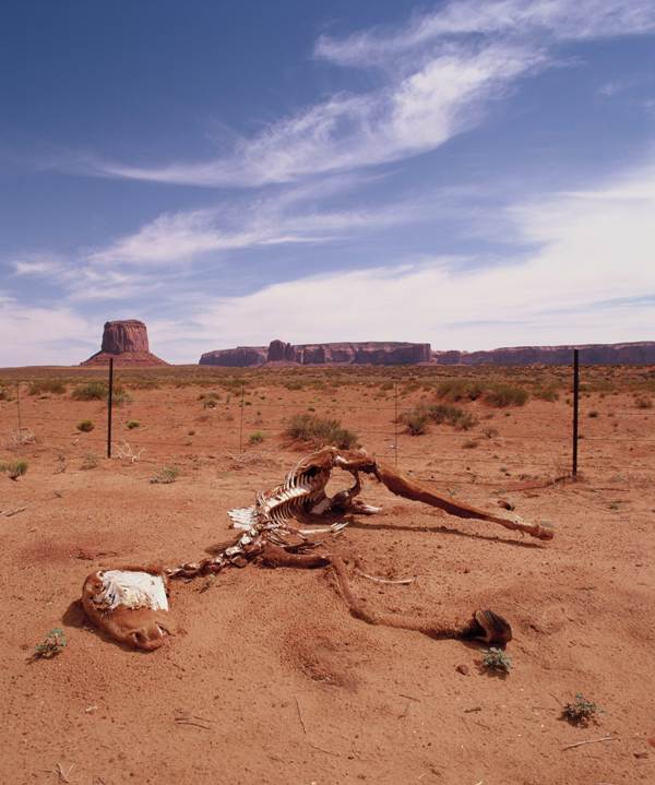 Dead Horse Gulch