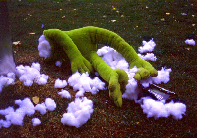 Dead Kermit