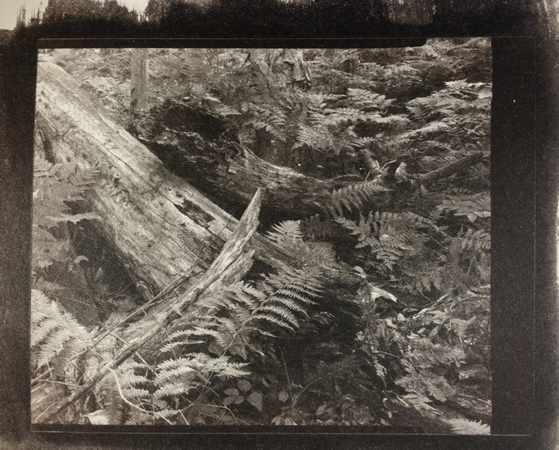 Deadfall (redux)