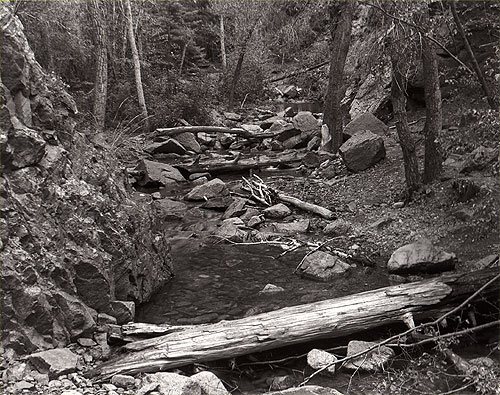 Deadfall Stream
