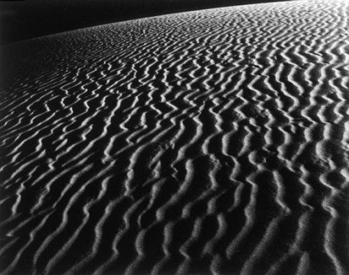 Death Valley Dune