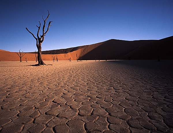 Death Vlei II