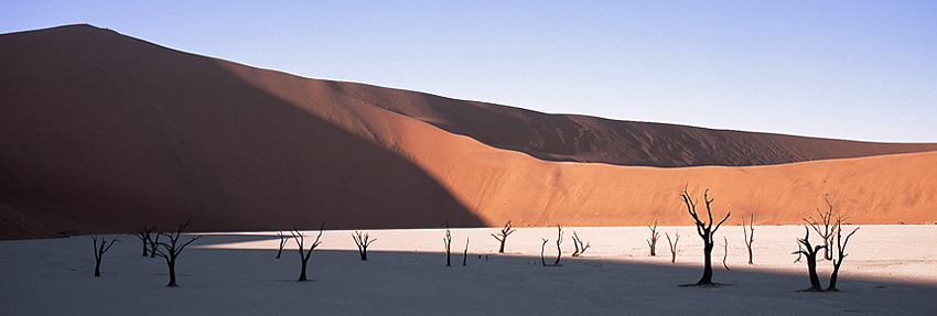 Death Vlei III