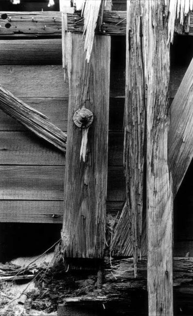 Decay
