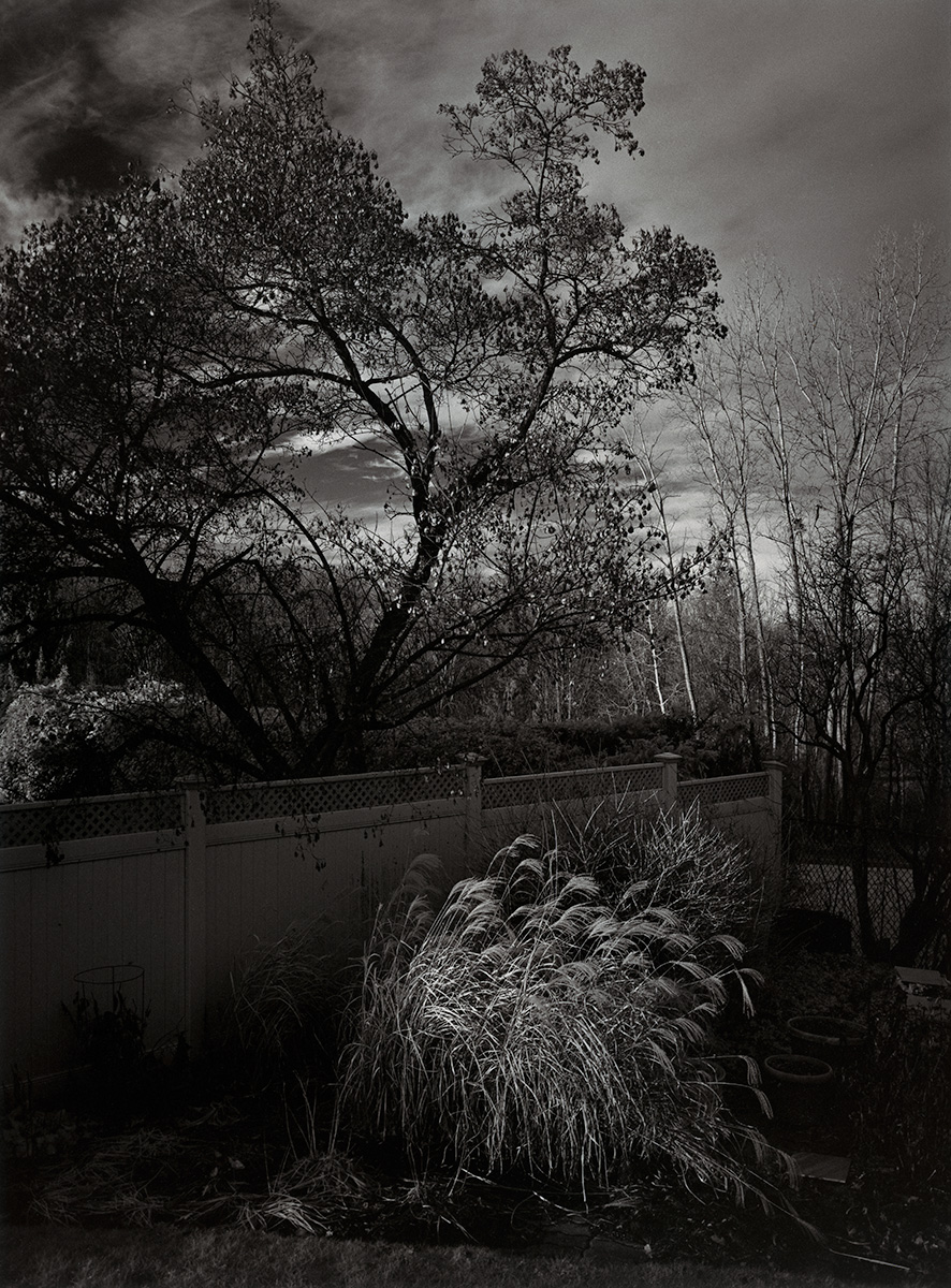 December Nightfall