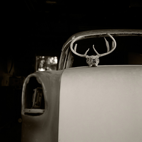 deer head on 55?