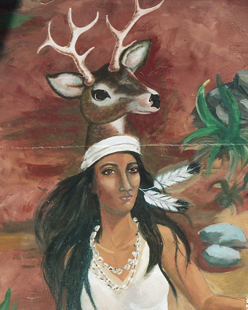 Deerdancer