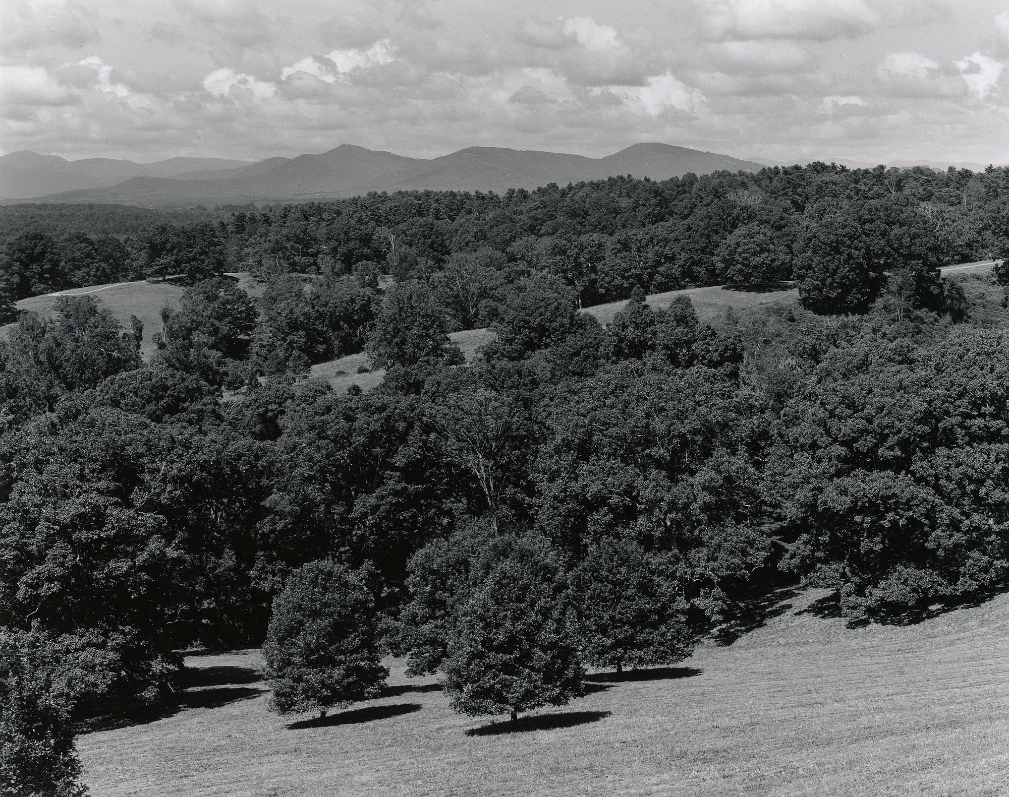 Deerpark-1