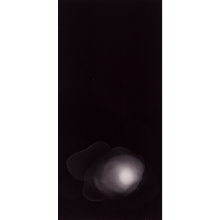 defrosting egg
