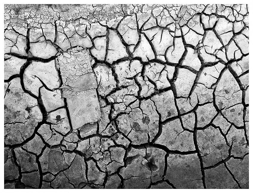 Dehydrated