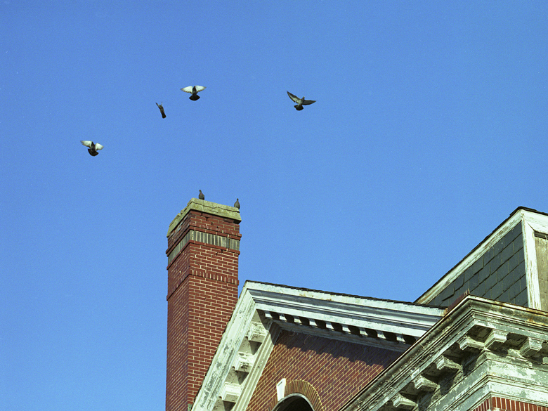 DeJarnette Ctr. 5