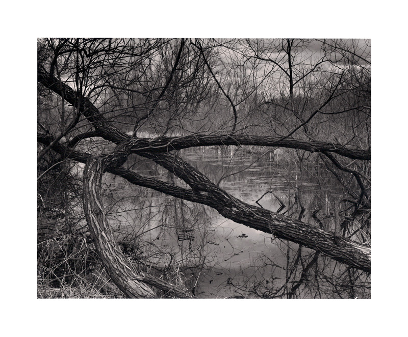 DeLaurier Trail Marsh 3