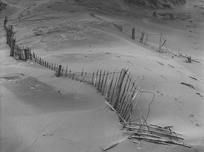 Derelict fence, Walney Island.
