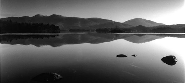 Derwent Dawn