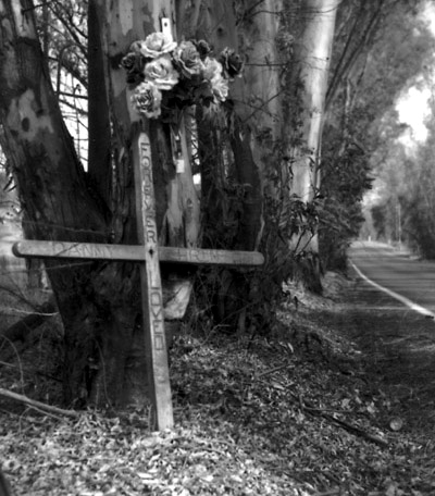 Descanso on Wildcat Canyon Road