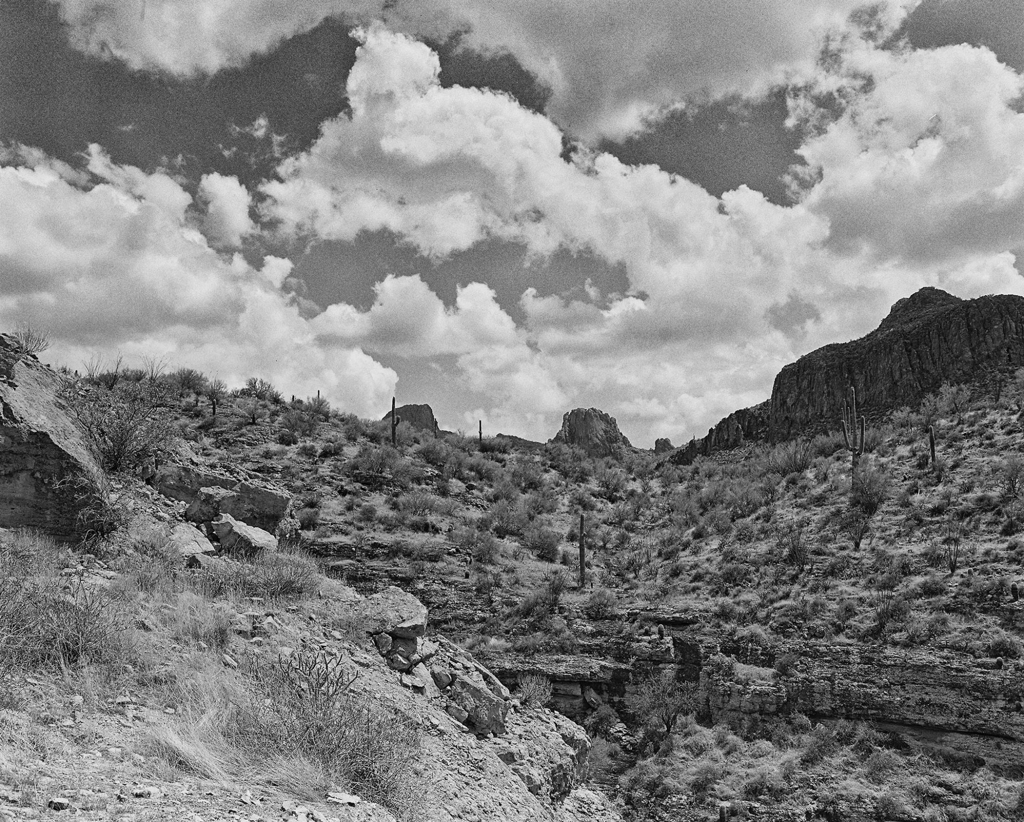 Desert Clouds