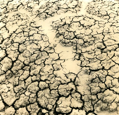 Desert Cracks