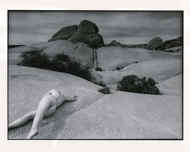 Desert Figure