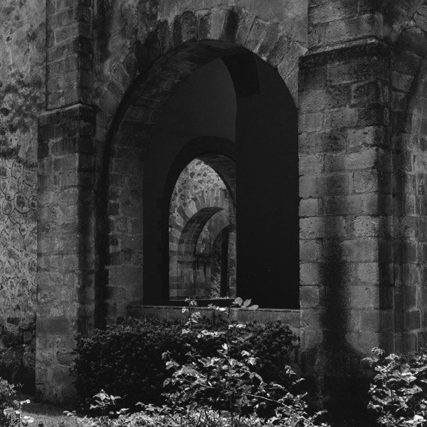 Desert of Lions convent