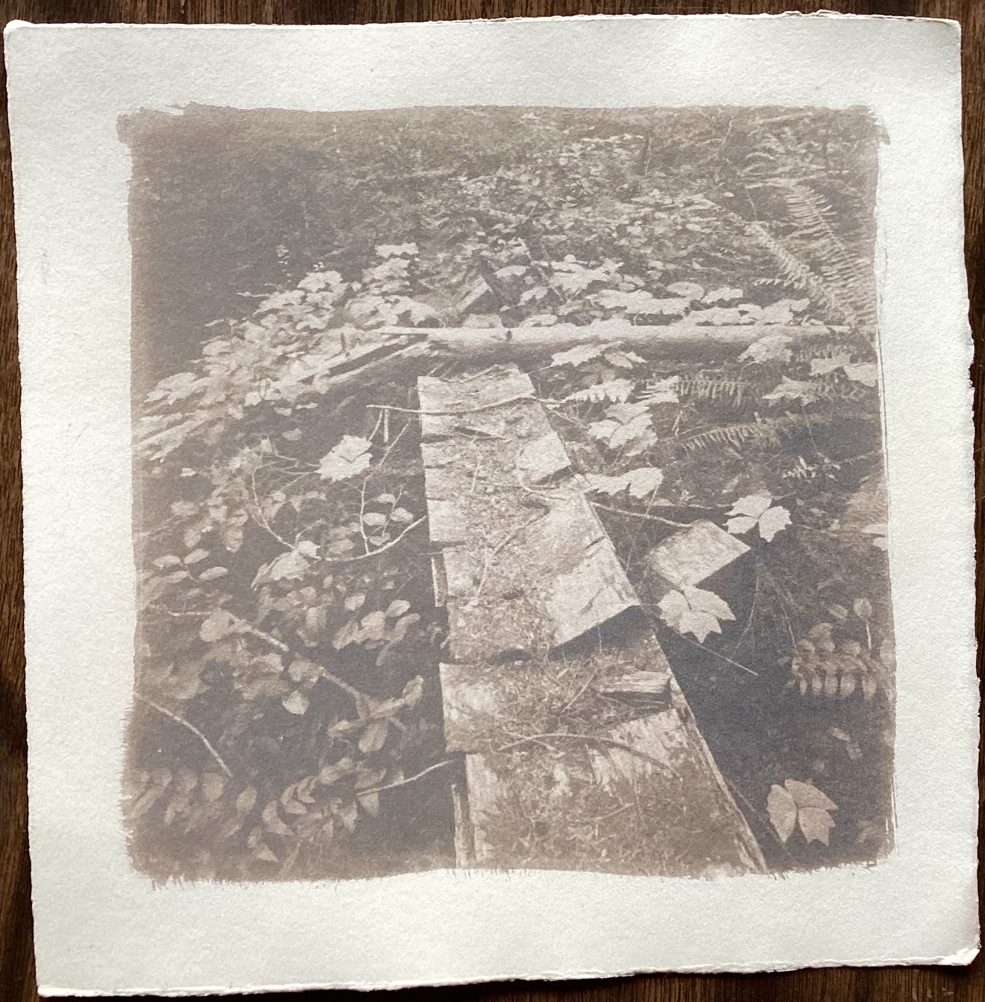 Deserted Shake Block