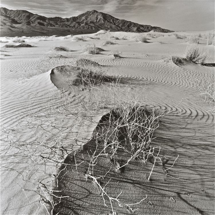 Deserted