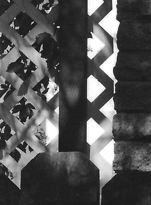 Detail Crop 1, Church Wall APHS Test