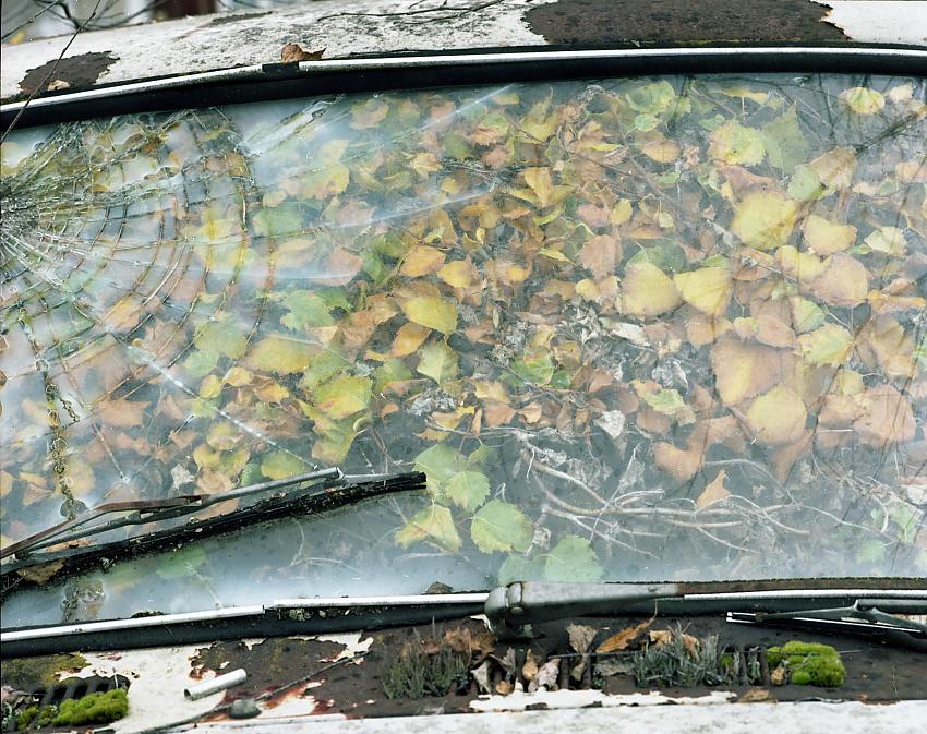 Details, Car Cemetery, Båstnäs, Sweden