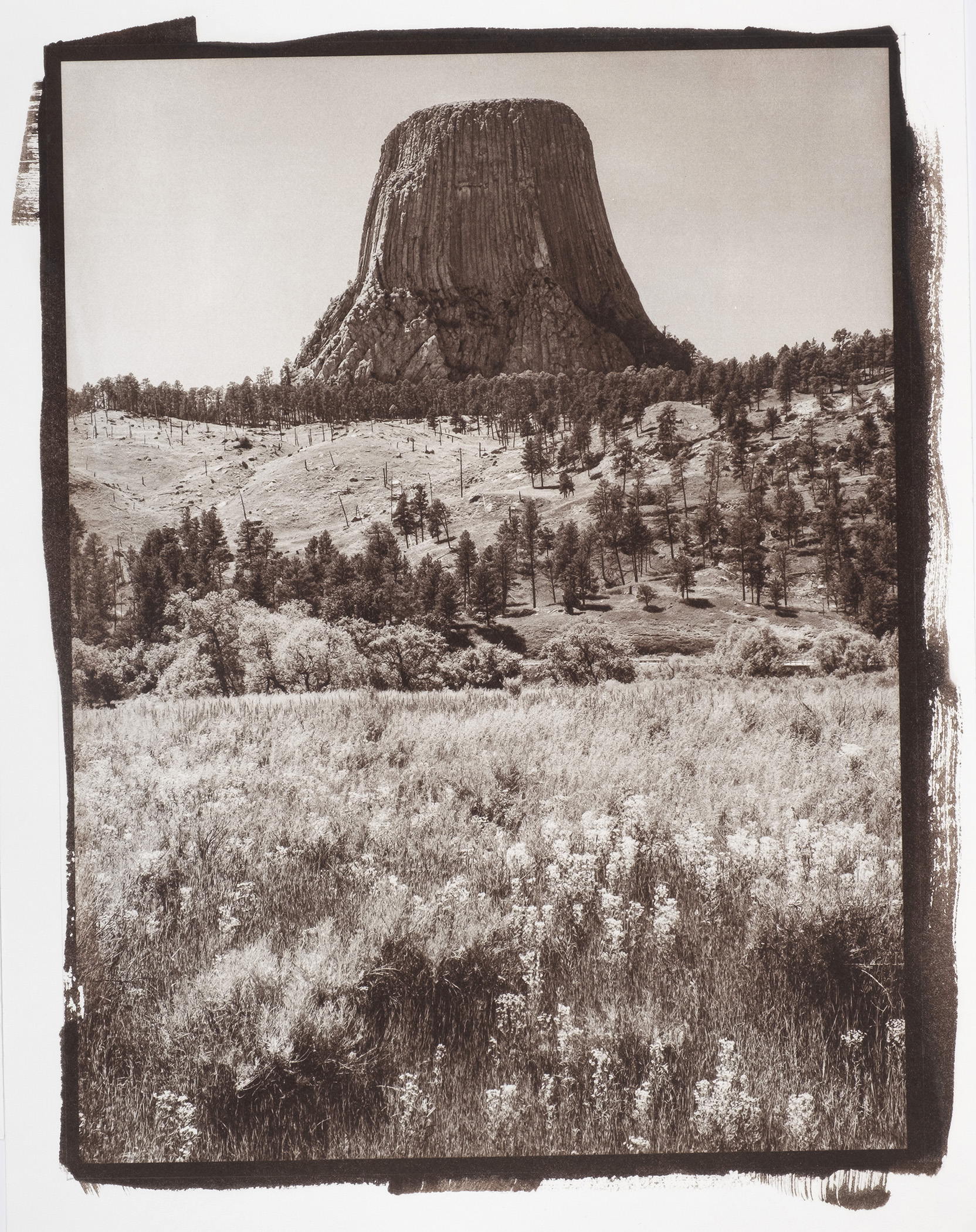 Devil’s Tower
