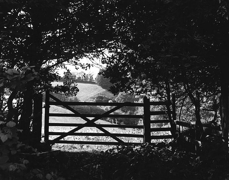 Devon Farm Gate