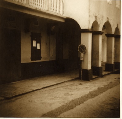 Diana. Sepia and Selenium