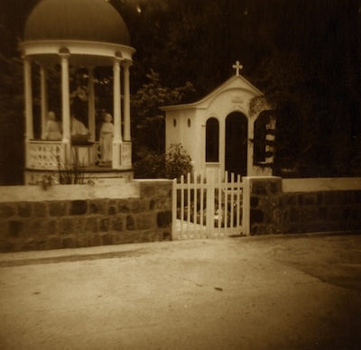 Diana. Sepia and Selenium