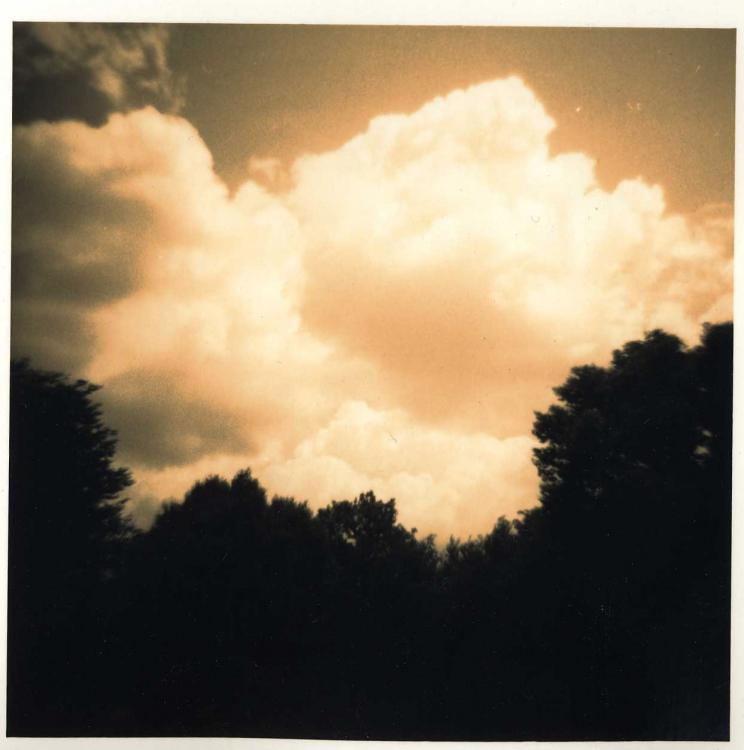 Diana/ Sepia & Gold