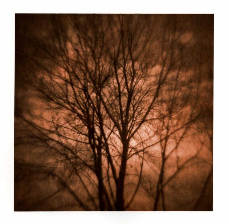 Diana1