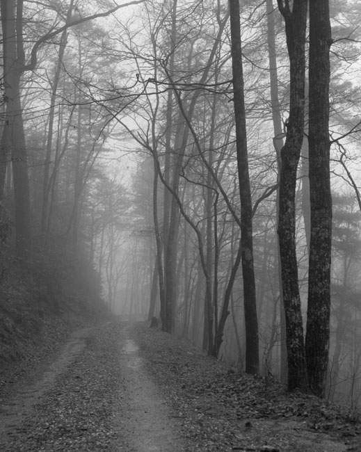 Dick Creek Road rainy day