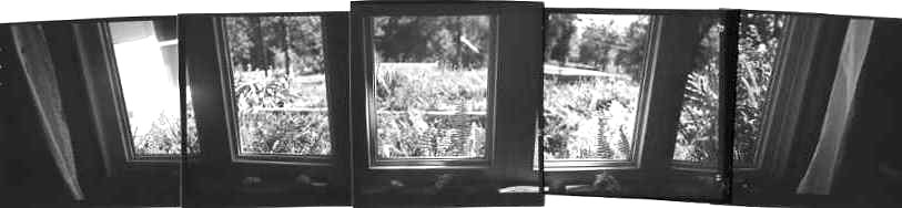 Dining Room Window