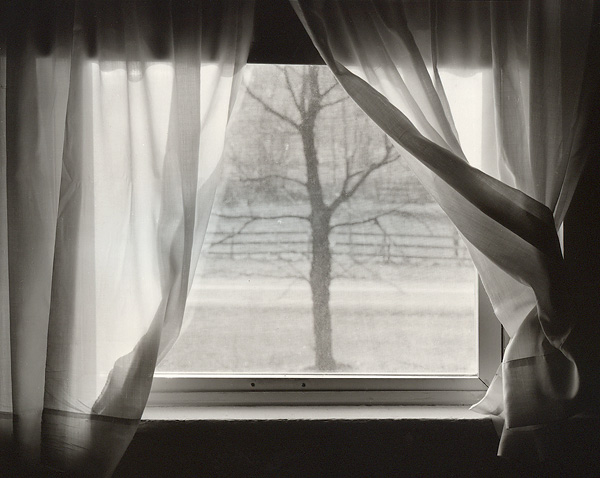 Dinning Room Window, Mid Afternoon