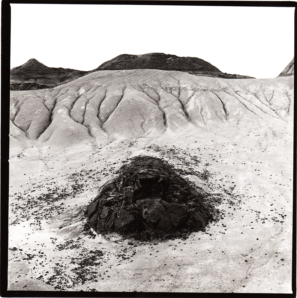 Dinosaur Provincial Park, AB