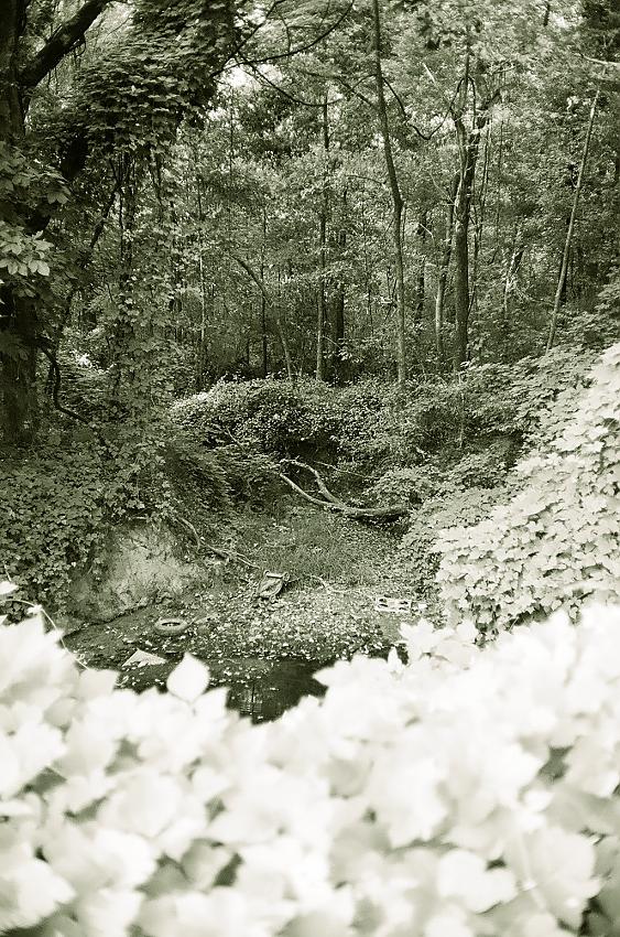 Discarded in a stream