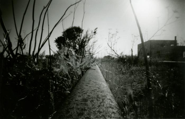 Disused rail line, Ferry Point #1